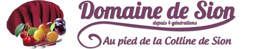 Domaine de Sion