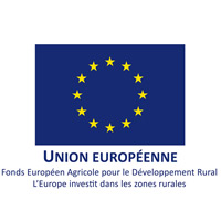 Union Européenne