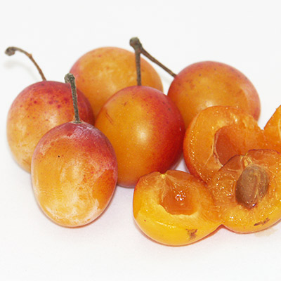 Mirabelles 5 kg  Drive Domaine de Sion